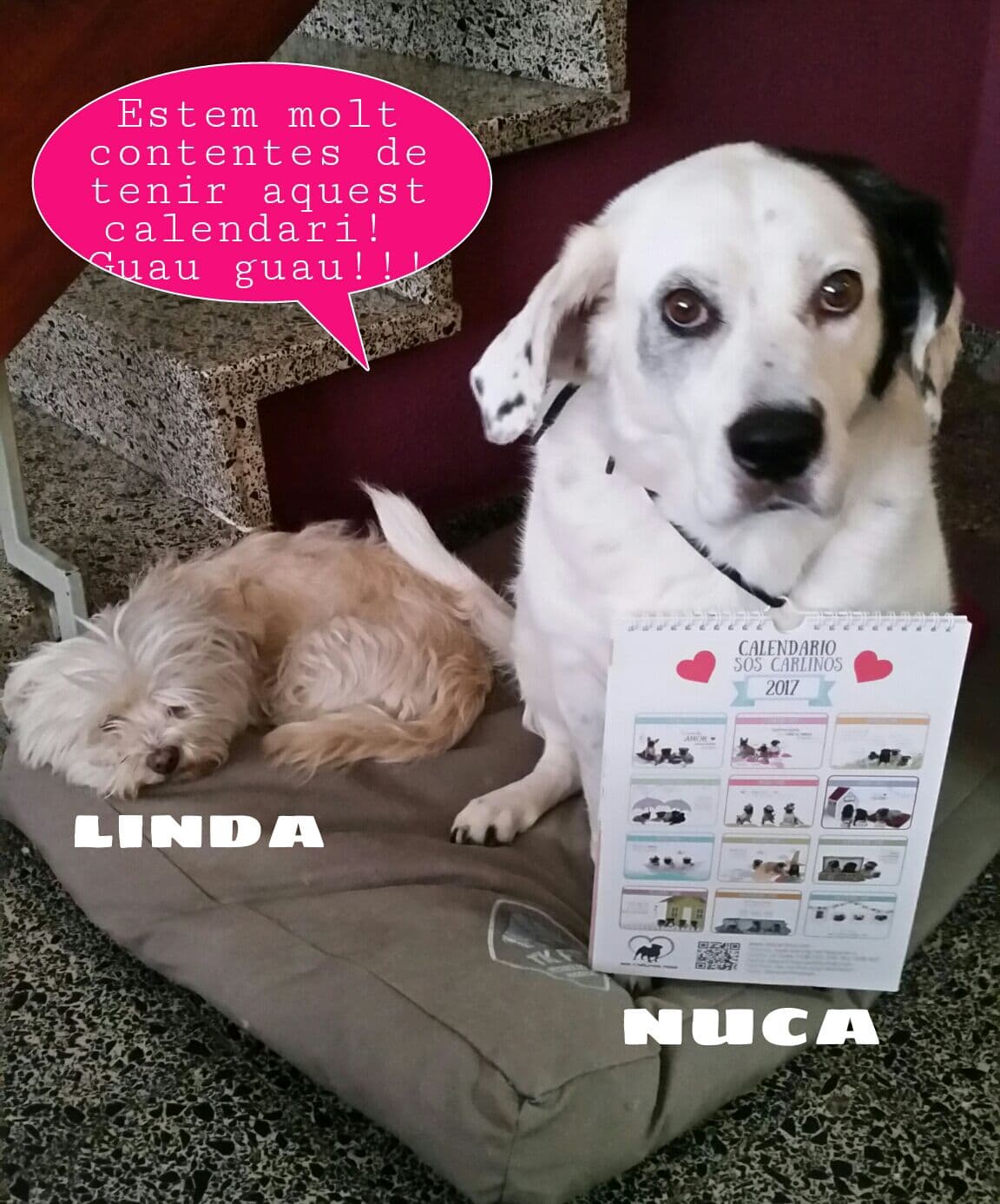 Linda & Nuca